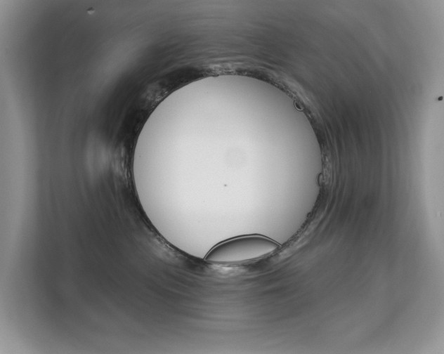 X0000112200477200908071246