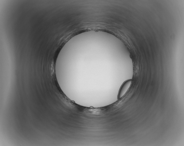 X0000112200478200908071246