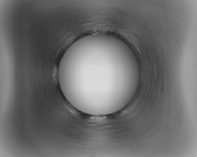 X0000112200480200908071246