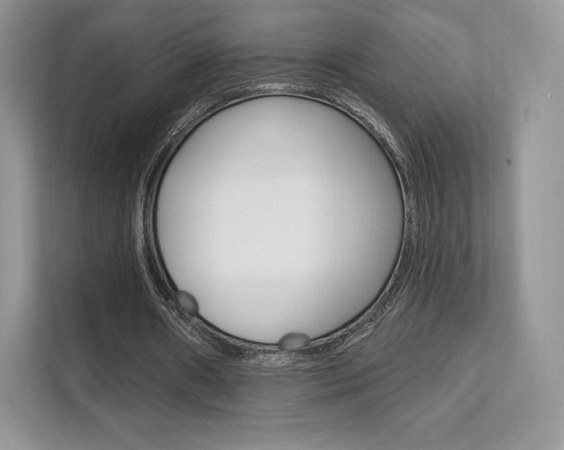 X0000112200482200908071246