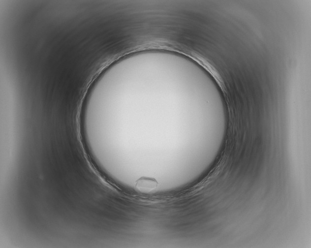 X0000112200485200908071246