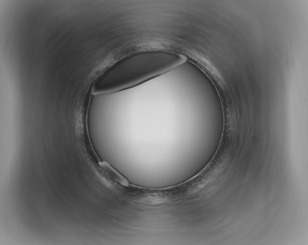 X0000112200489200908071246