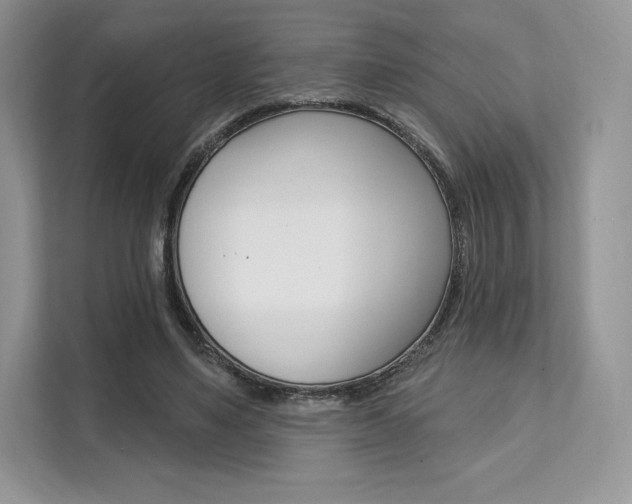 X0000112200491200908071246