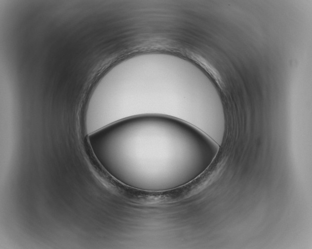 X0000112200493200908071246