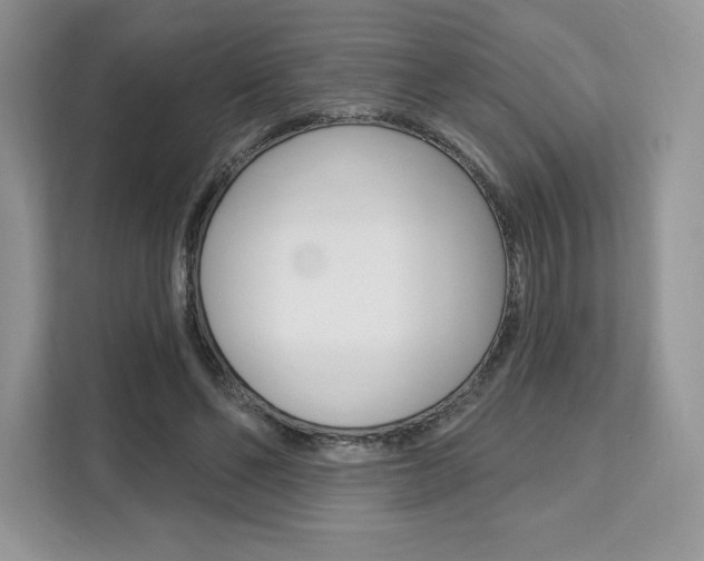 X0000112200494200908071246