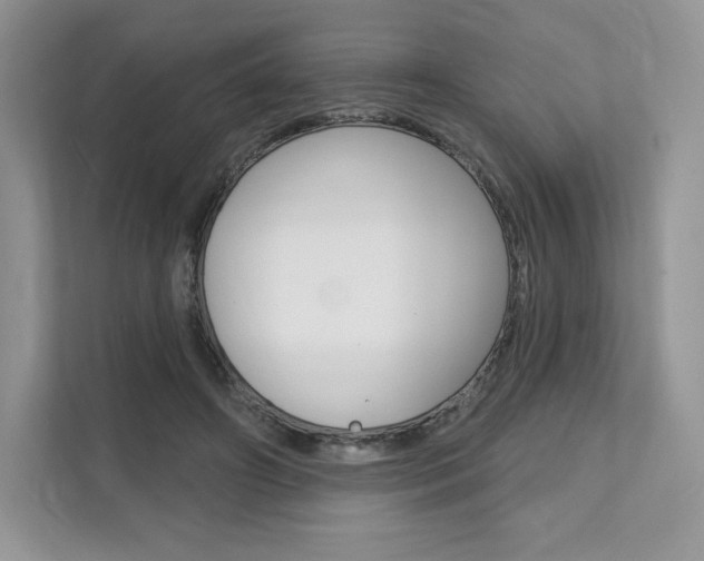 X0000112200498200908071246