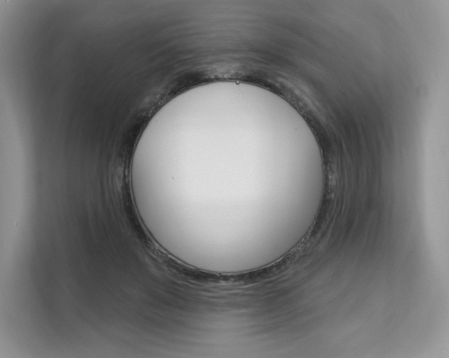 X0000112200503200908071246