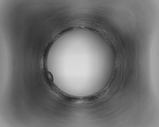 X0000112200504200908071246