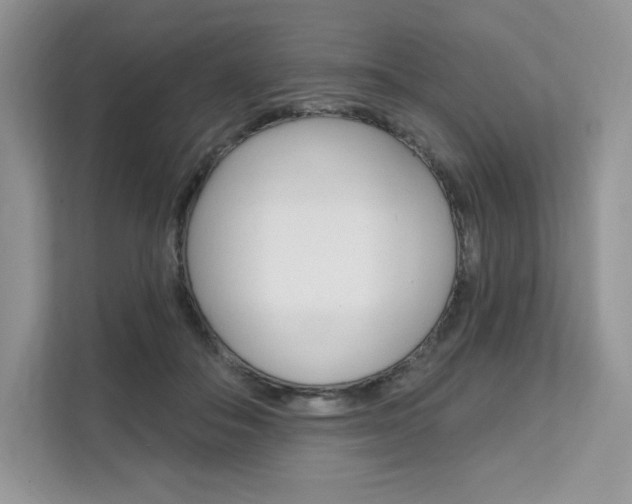 X0000112200506200908071246