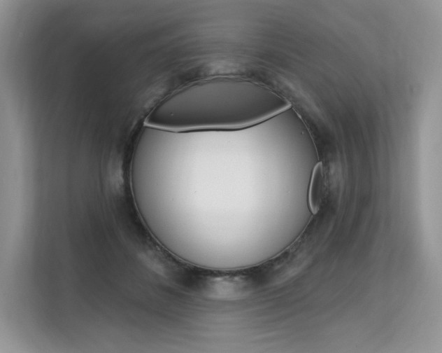 X0000112200508200908071246