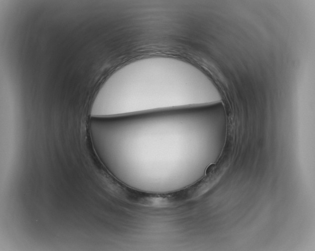 X0000112200509200908071245