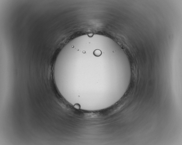 X0000112200511200908071245