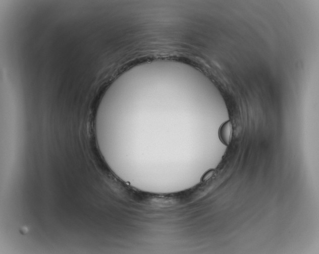 X0000112200515200908071245