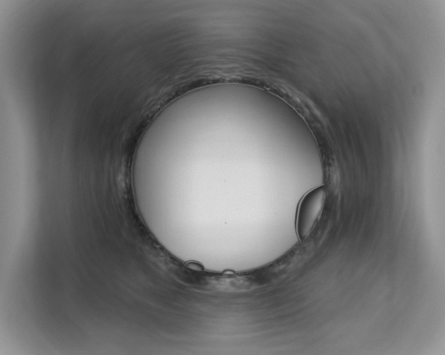 X0000112200517200908071245