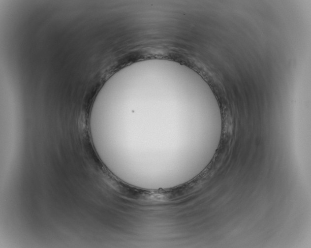 X0000112200518200908071245
