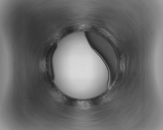 X0000112200520200908071245