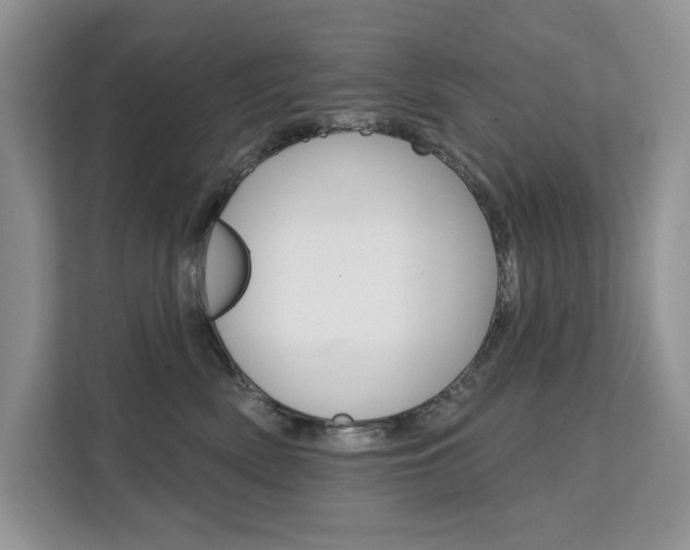 X0000112200522200908071245