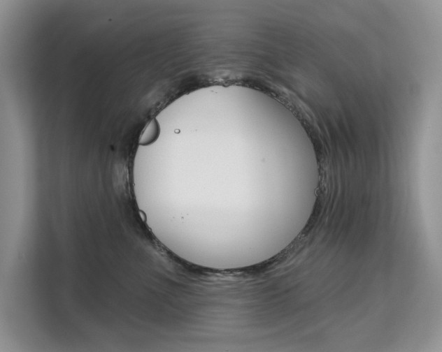 X0000112200523200908071245