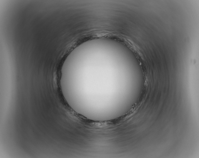 X0000112200524200908071245