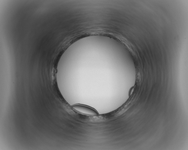 X0000112200525200908071245