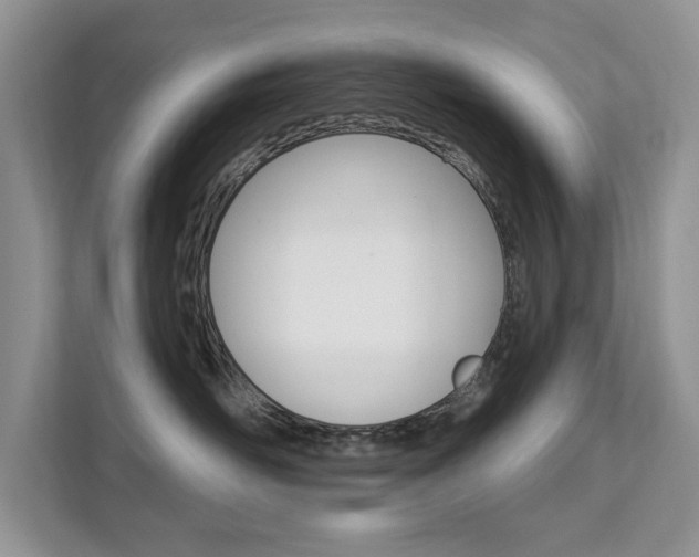X0000112200526200908071245