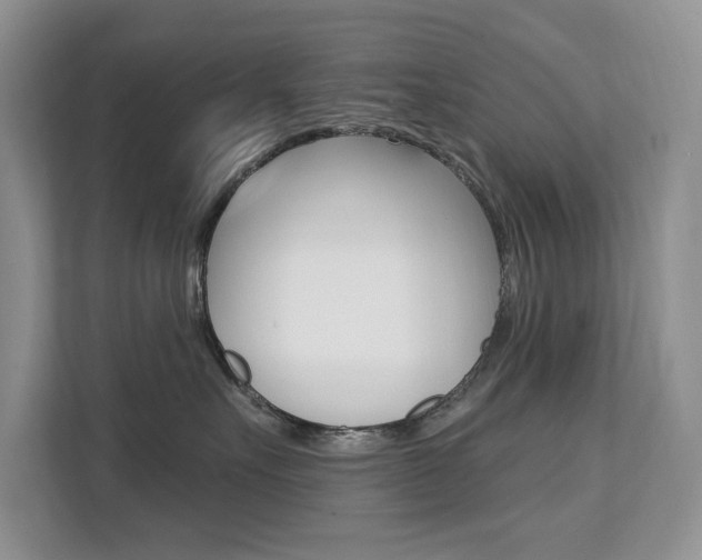 X0000112200527200908071245