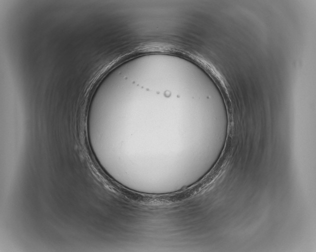 X0000112200529200908071245