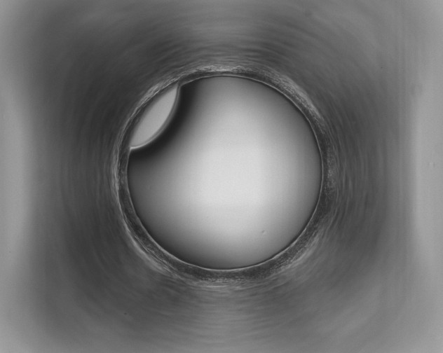 X0000112200530200908071245