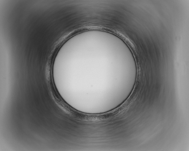 X0000112200533200908071245