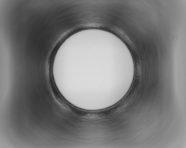 X0000112200534200908071245