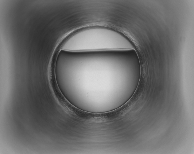 X0000112200536200908071245