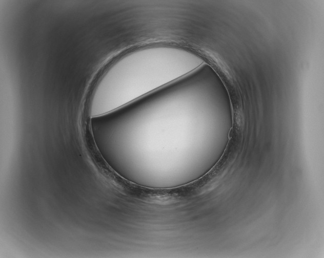X0000112200540200908071245