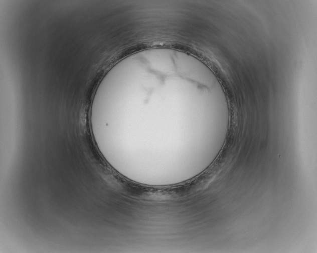 X0000112200545200908071245