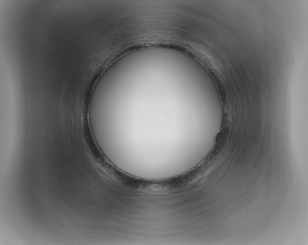 X0000112200546200908071245
