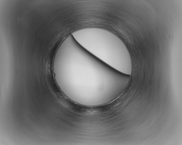 X0000112200547200908071245