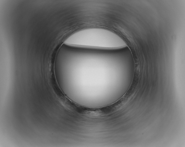 X0000112200548200908071245
