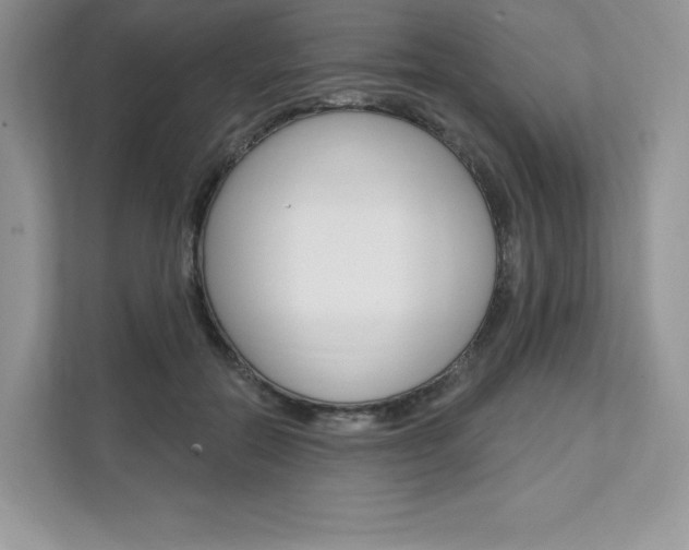 X0000112200554200908071245