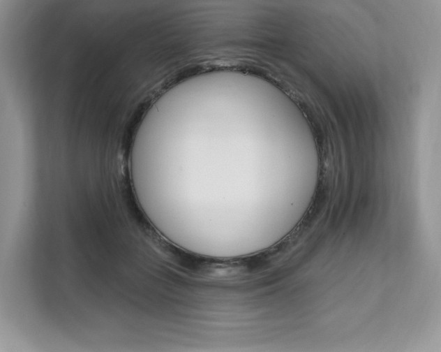 X0000112200555200908071245
