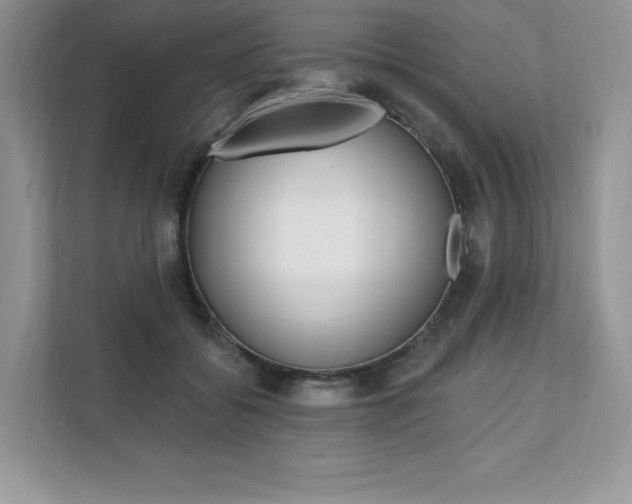 X0000112200556200908071245