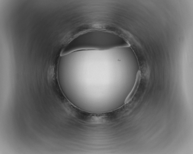X0000112200560200908071245