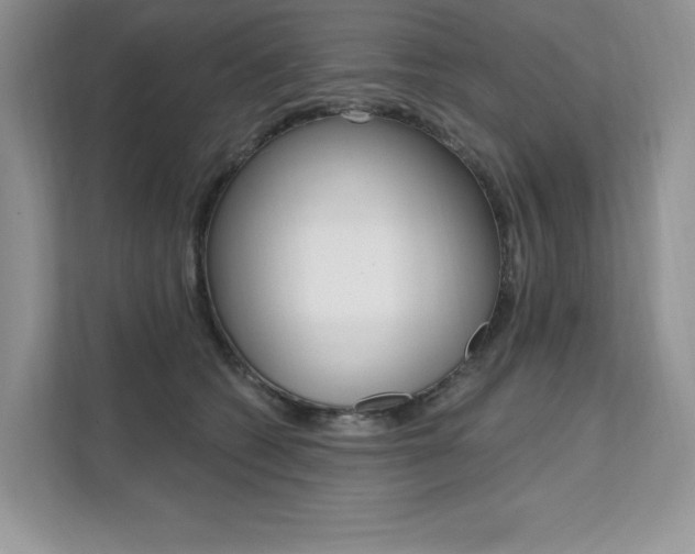 X0000112200562200908071245