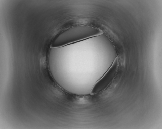 X0000112200564200908071245