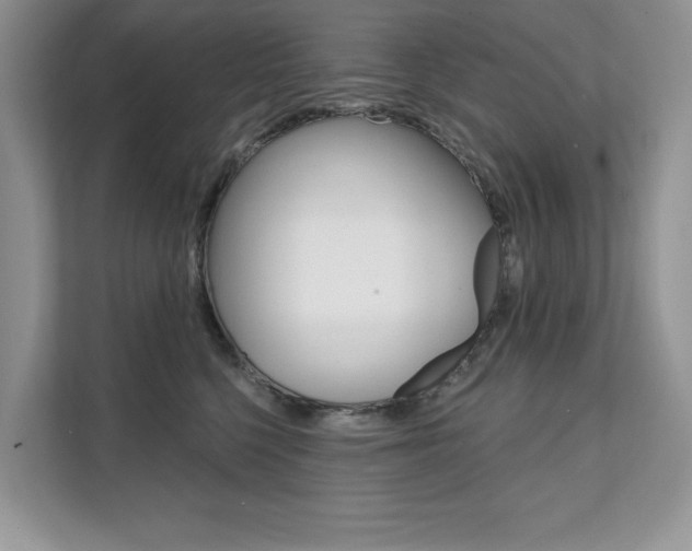 X0000112200568200908071245