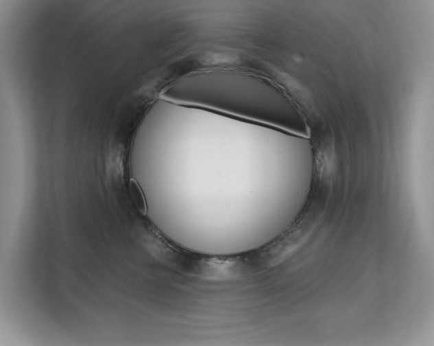 X0000112200570200908071245
