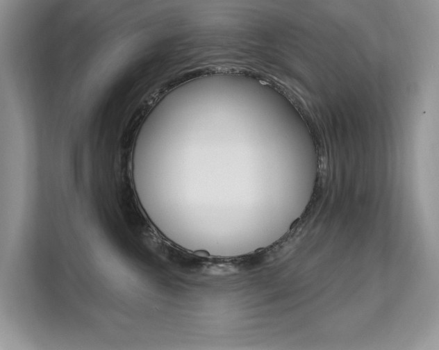 X0000112200572200908071245