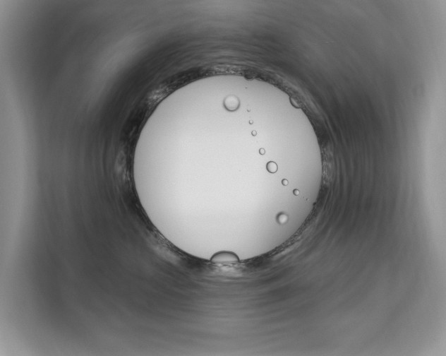 X0000112200573200908071245