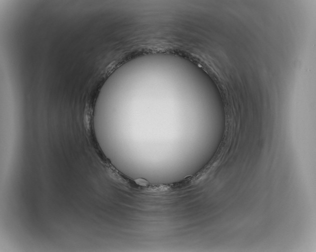 X0000112200576200908071245