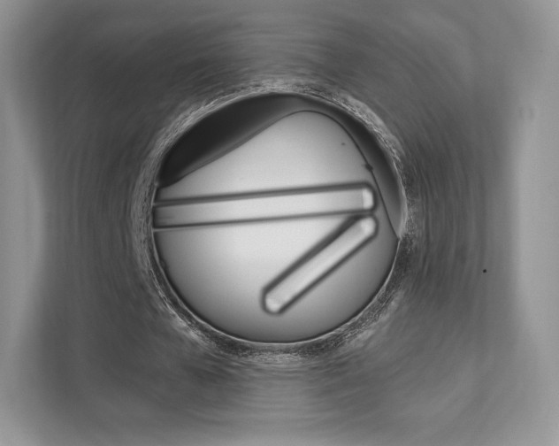 X0000112200577200908071245