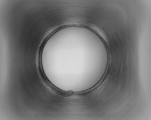 X0000112200578200908071245
