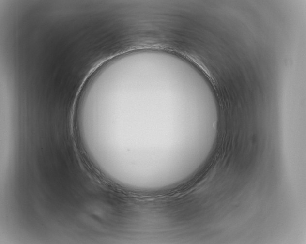 X0000112200579200908071245
